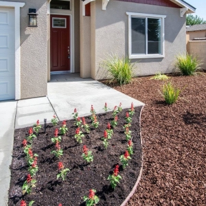 exteriors00157